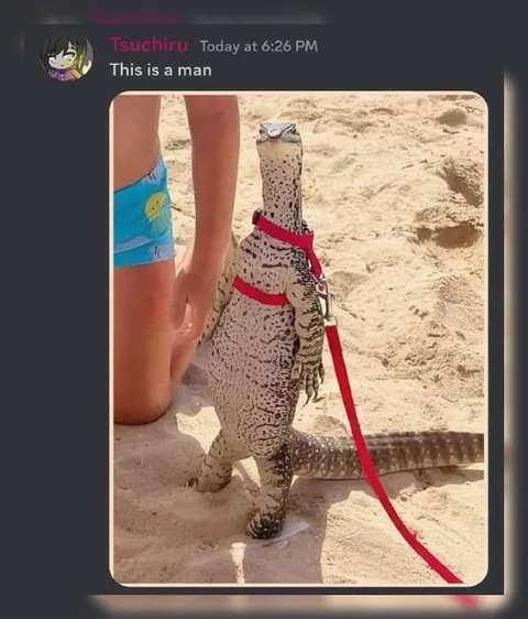 This Is a Man Lizard