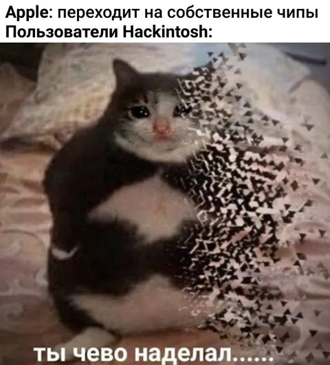 Пользователи Hackintosh после перехода Apple
