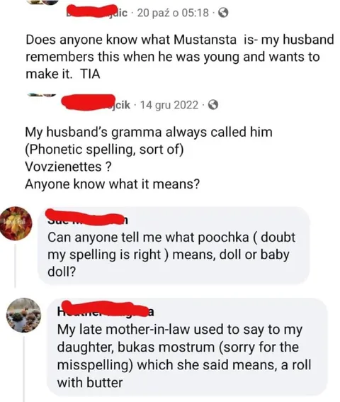 Mysterious Family Polish Words