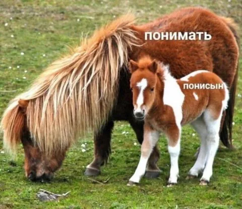Понимать и понисын