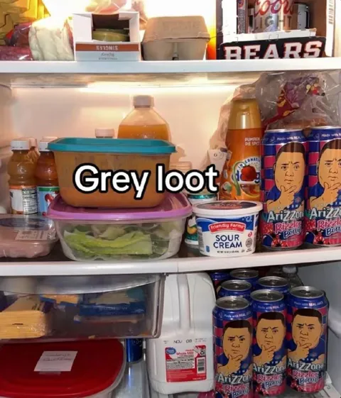 Grey Loot Refrigerator