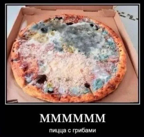Пицца с грибами