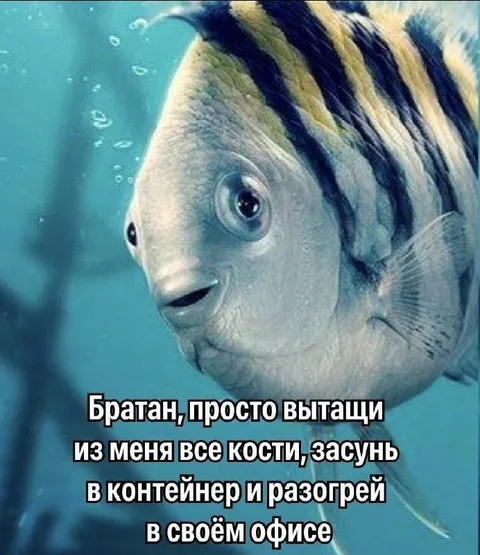 Рыба просит сварить кости