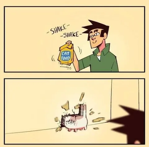 Cat Food Shake Explosion