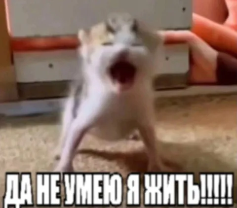 Да неужели я жив