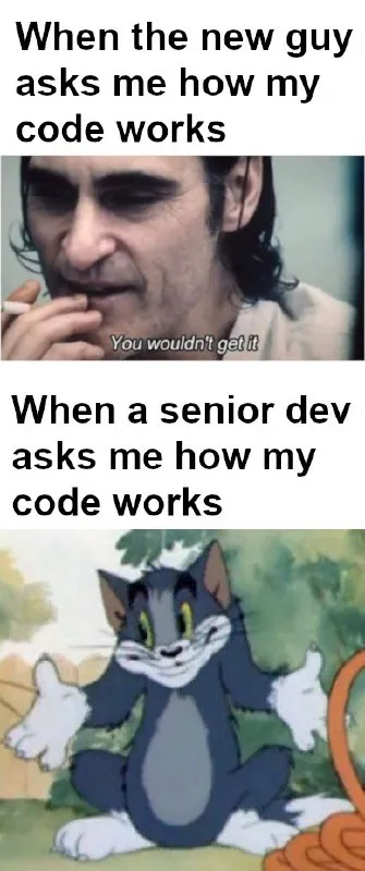 When Senior Dev Asks About My Code