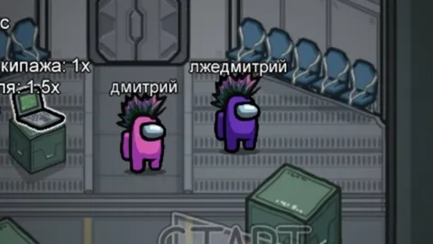 Дмитрий и лжедмитрий