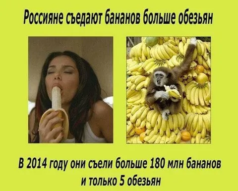 Россияне и обезьяны с бананами