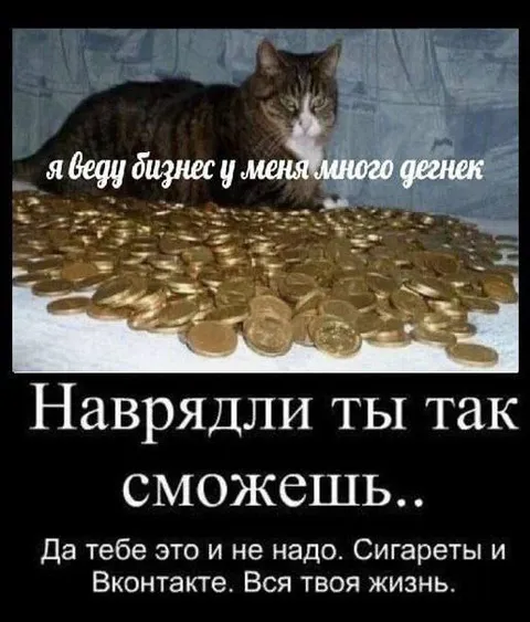 Кот с бизнесом и монетами