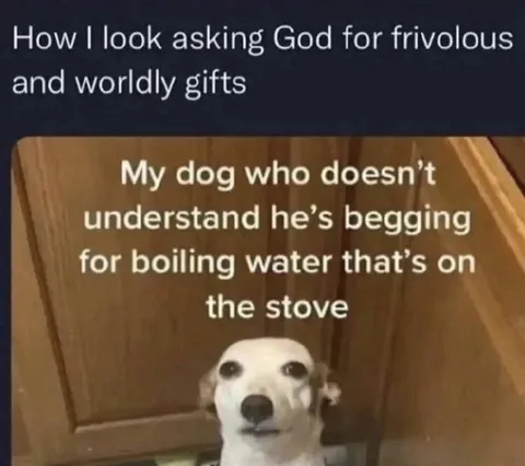 Dog Begging for Boiling Water