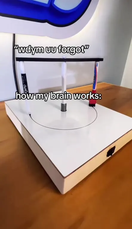 How My Brain Works