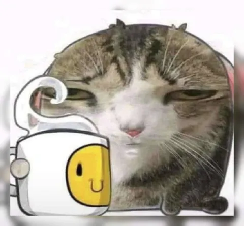 Кот с чашкой кофе