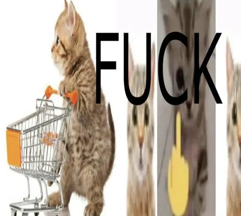 Fuck Shopping Cat