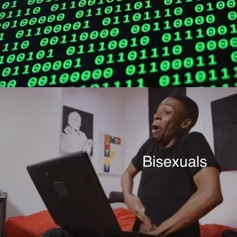Bisexuals Seeing Binary Code