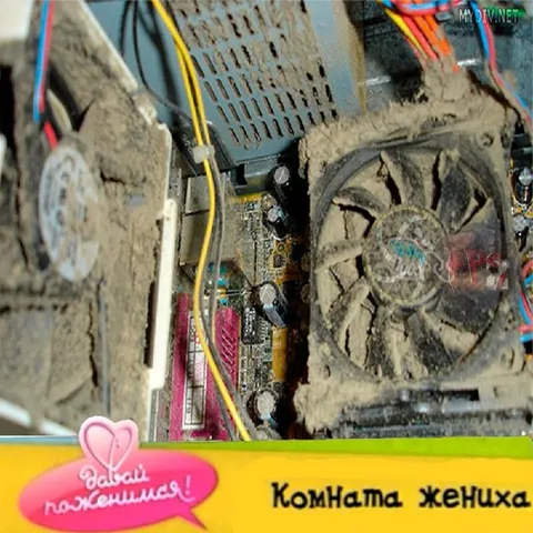 Датабэй поженились в компьютере