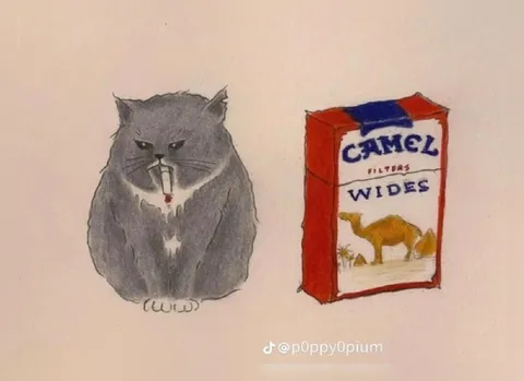 Grumpy Cat and Camel Cigarettes
