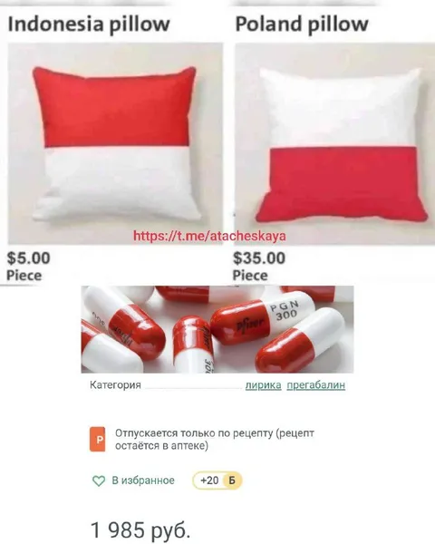 Indonesia and Poland Pillows