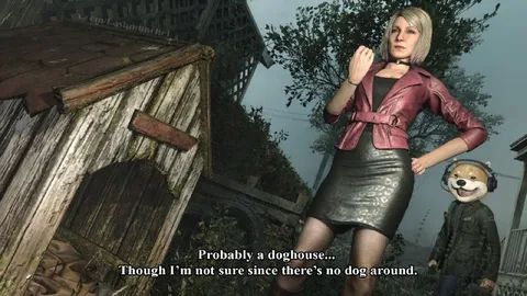 No Dog Around the Doghouse