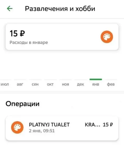 Развлечения — платный туалет