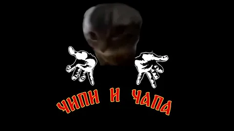 Чипи и Чапа под панк-рок