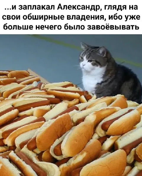 Александр среди хот-догов