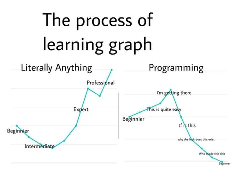 The Programming Learning Curve