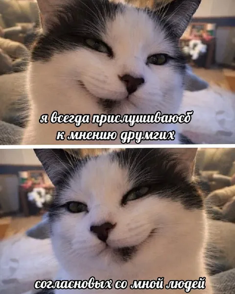 К мнению согласившихся людей