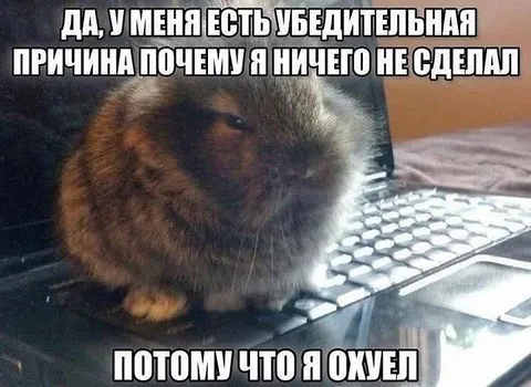 Убедительная причина ничего не делать