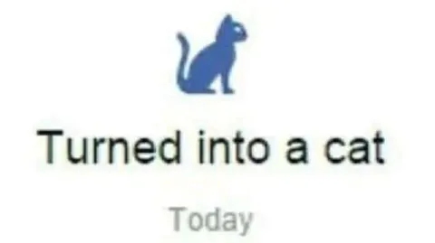 Turned Into a Cat
