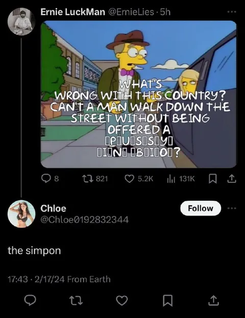 The Simpsons Offered a Simpon