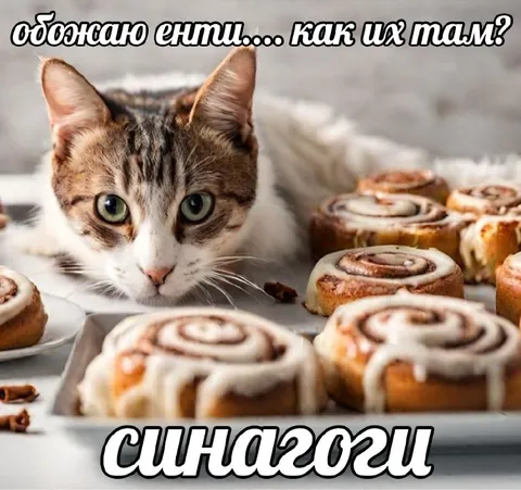 Кот среди синназогов