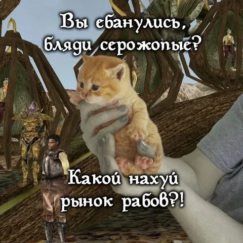 Какой нахуй рынок рабов