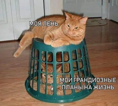Лень против грандиозных планов