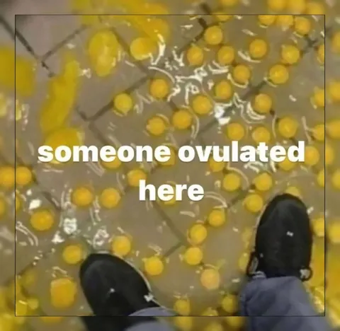 Someone Ovulated Here