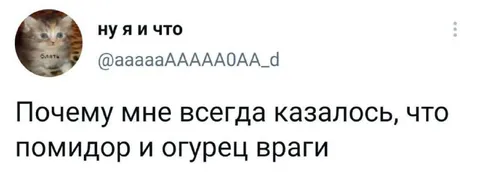 Помидор и огурец — враги