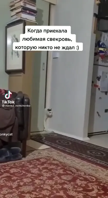 Любимая свекровь приехала