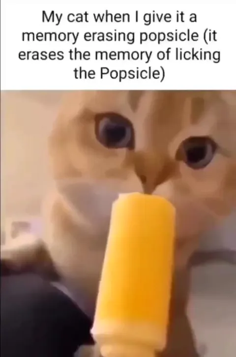 Cat Licks Memory Erasing Popsicle