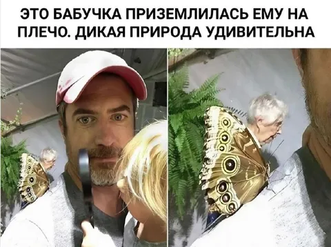 Бабочка приземлилась на плечо