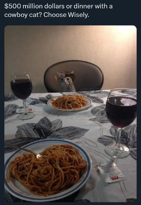 Cowboy Cat Dinner Choice