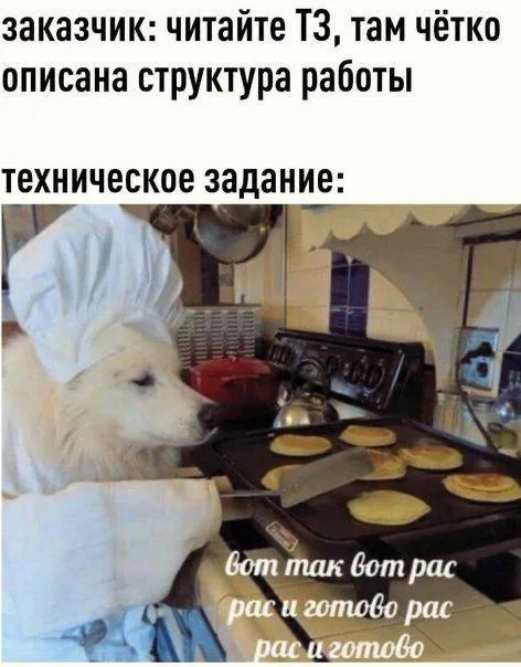 Заказчик и техническое задание