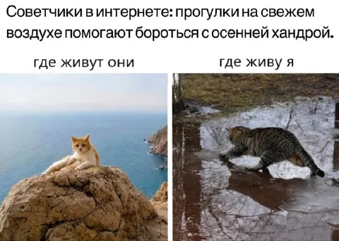 Советчики и прогулки на свежем воздухе
