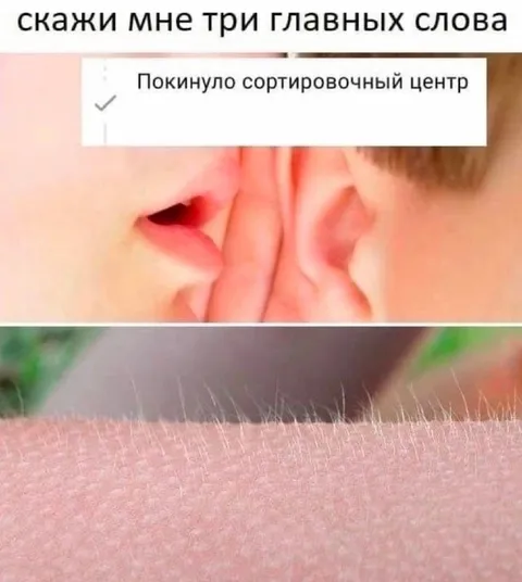 Покинуло сортировочный центр