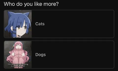 Cats or Dogs Preference