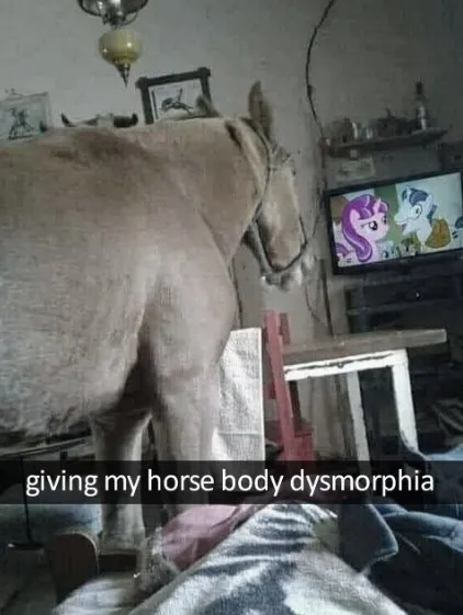Giving My Horse Body Dysmorphia