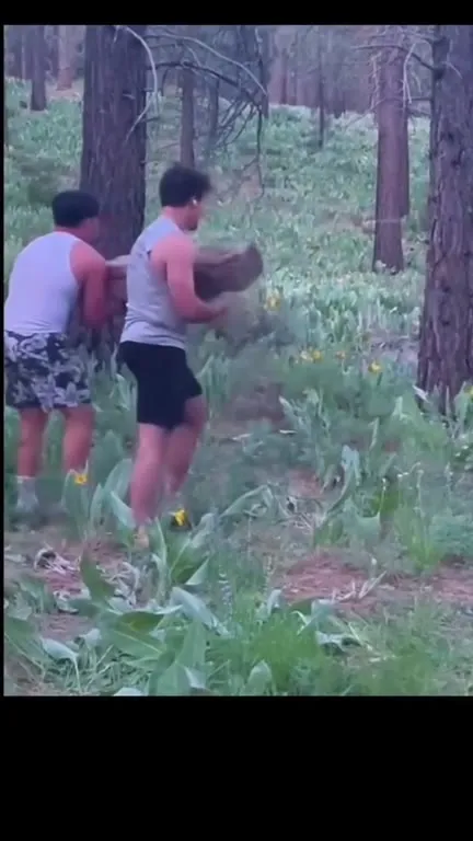 Двое не удержали бревно