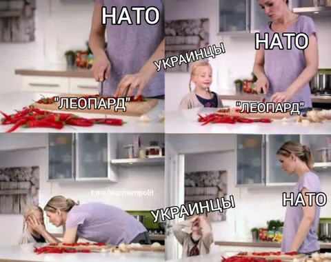 НАТО и украинцы ждут леопарды