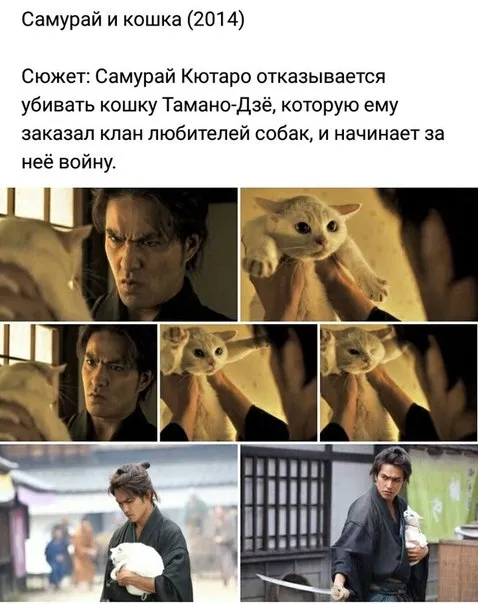 Самурай и кошка
