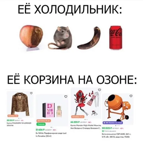 Её холодильник и корзина на Ozon