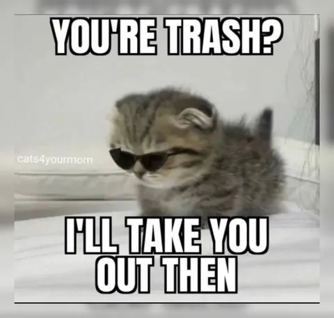 Cool Kitten Will Take You Out