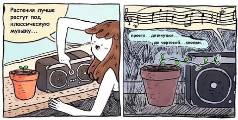 Растения и классическая музыка